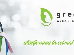 Greencat Cleaning Facility - Servicii profesionale de curatenie