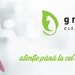 Greencat Cleaning Facility - Servicii profesionale de curatenie